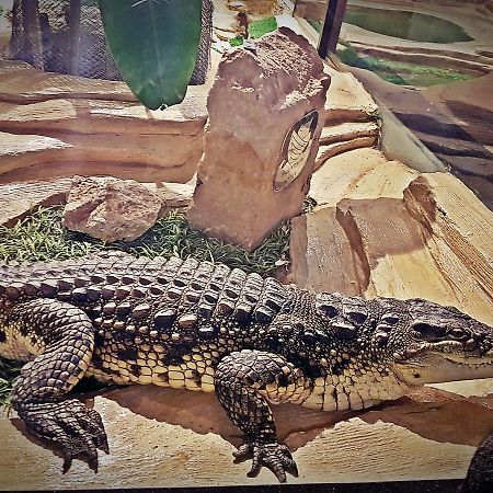 Aquarium Hotel Riyad Dış mekan fotoğraf