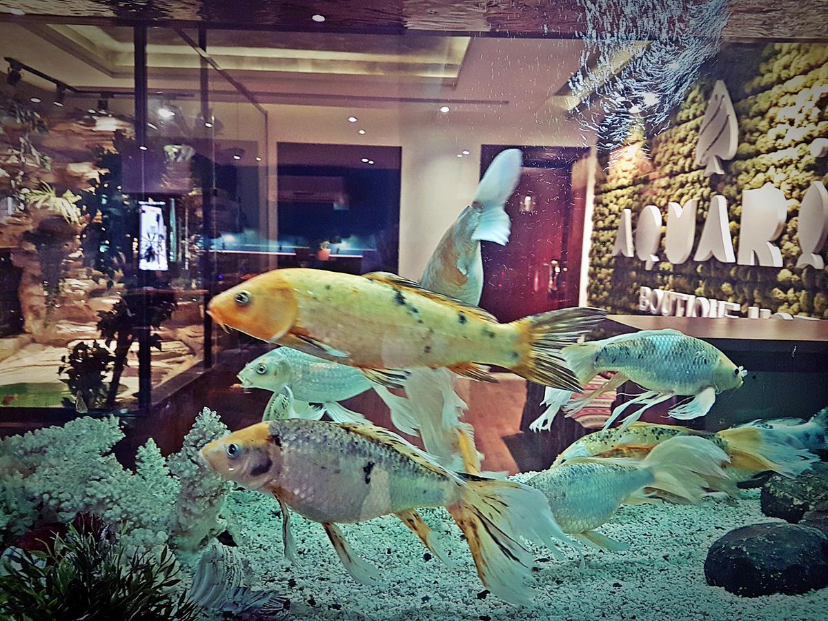 Aquarium Hotel Riyad Dış mekan fotoğraf