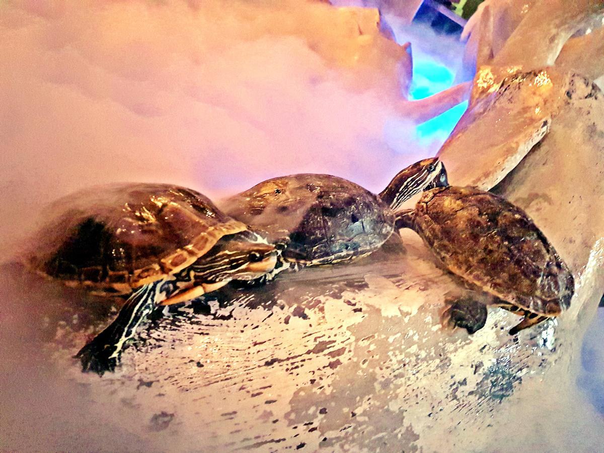 Aquarium Hotel Riyad Dış mekan fotoğraf